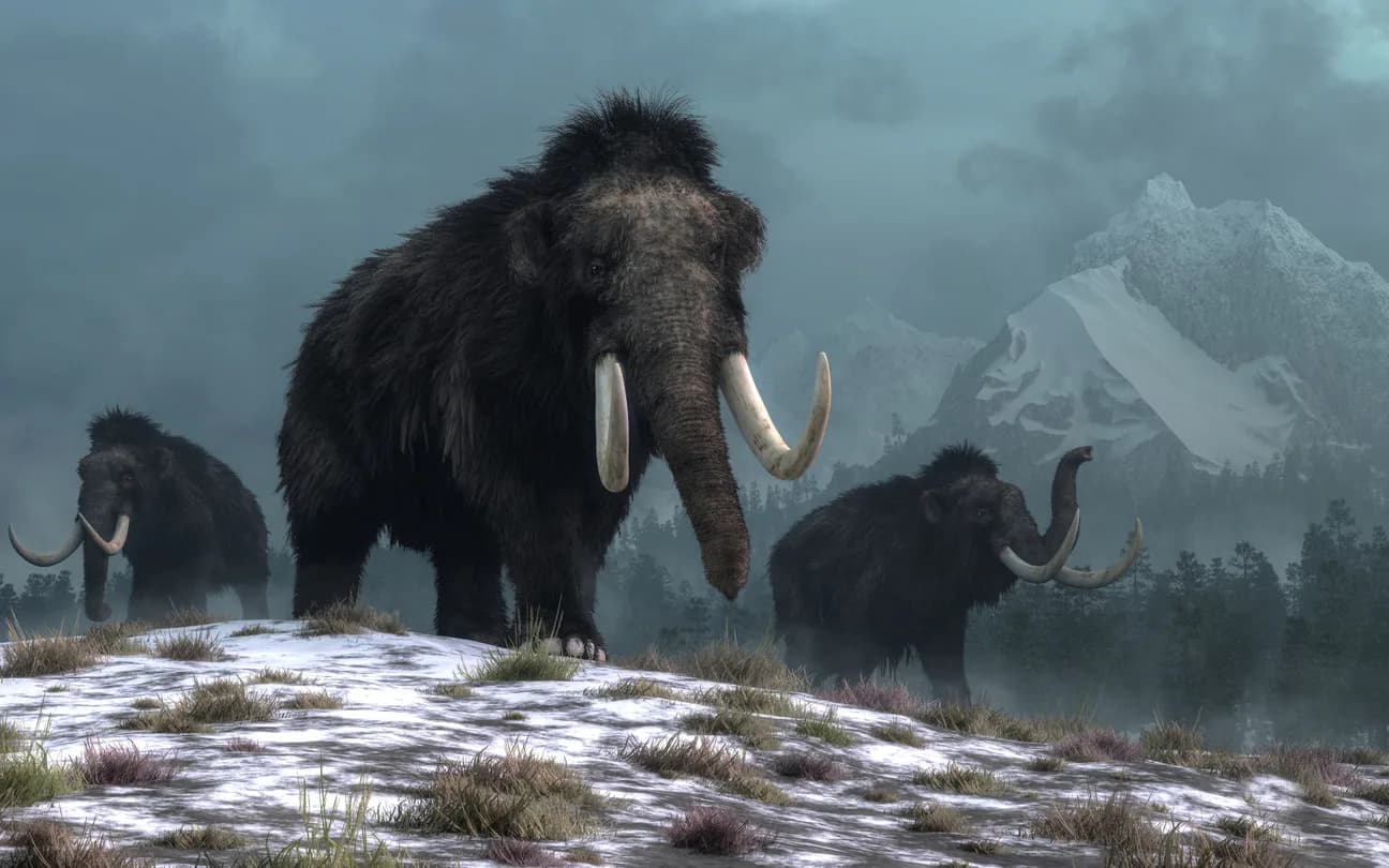 Woolly Mammoth